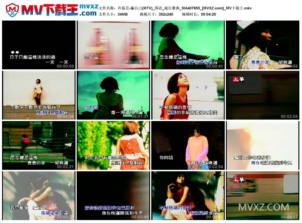 许茹芸-骗自己(MTV)_国语_流行歌曲_MA407855